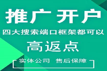 案例分享：专业SEM托管助力品牌崛起